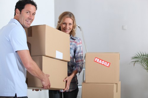Professional man and van service assisting with a local move